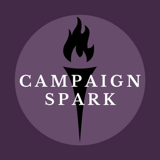 Campaign Spark - Idealist