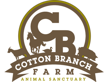 Cotton Branch Farms