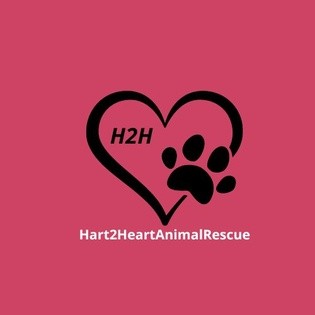 Heart 2024 animal rescue