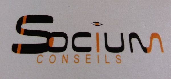 SOCIUM Conseils logo