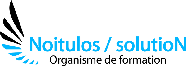 Noitulos / solutioN logo