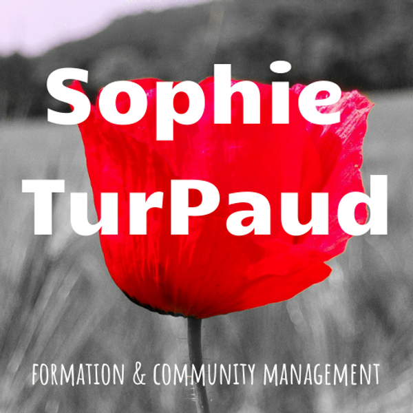 Agence Sophie Turpaud logo