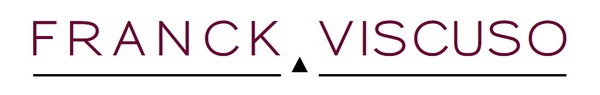 FRANCK VISCUSO TRAINING logo