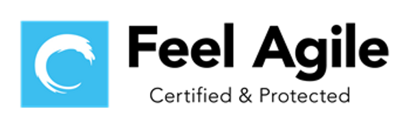 Systema Conseil (Feel Agile) logo