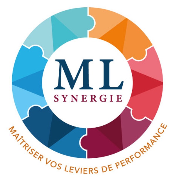 ML SYNERGIE logo