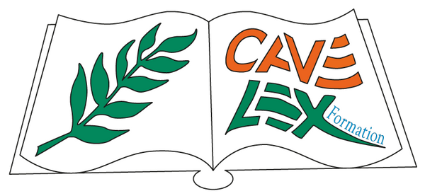 Cave Lex Formation logo