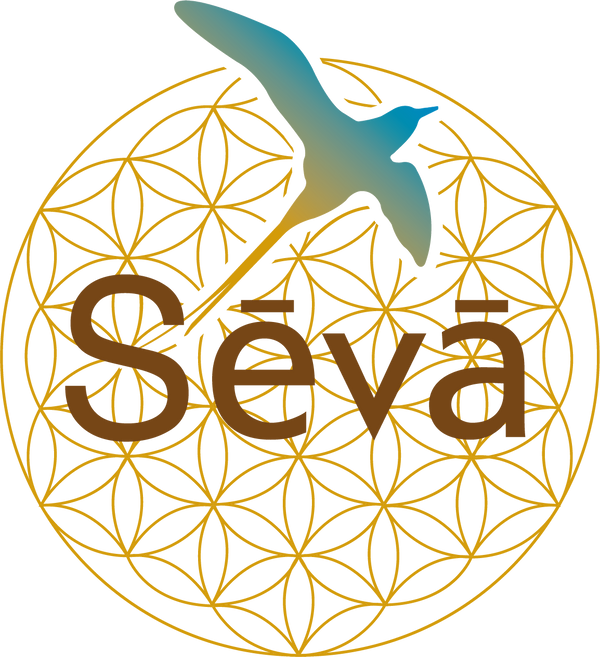 cabinet seva logo