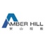 Amber Hill Finance Services Group Limited