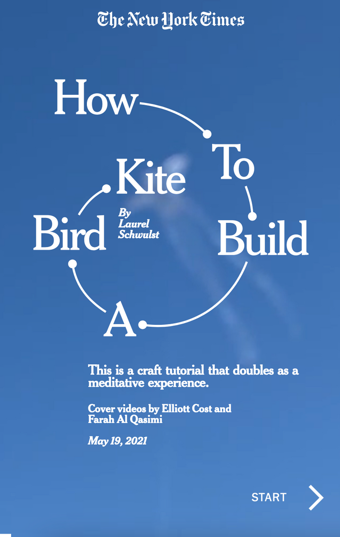 How to Build a Bird Kite ... by Laurel Schwulst on The New York Times