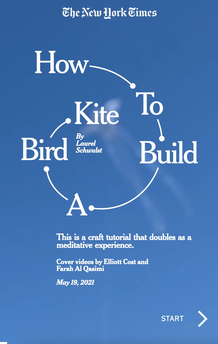 How to Build a Bird Kite ... by Laurel Schwulst on The New York Times