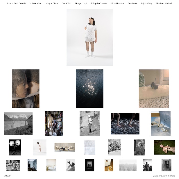Screenshot of "Hindsight," a website presenting work by 2020 MFA Photo graduates.