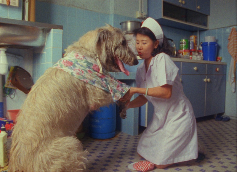 NURSE W DOG_MASTER STILL.jpg