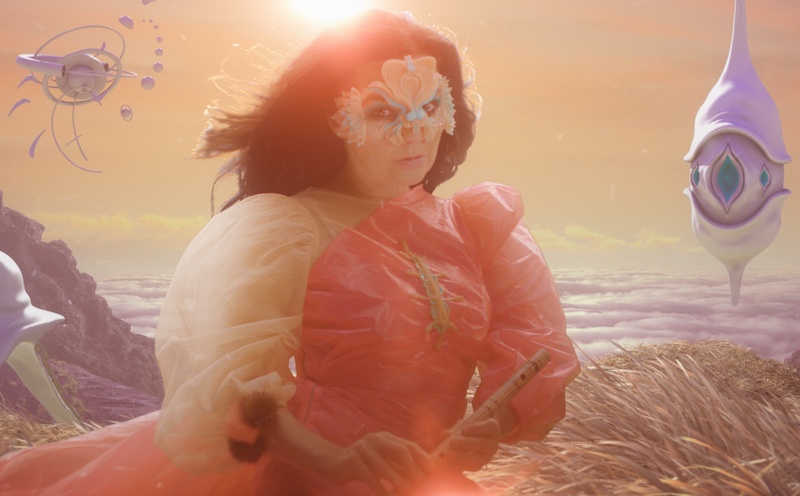 Björk-Header.jpeg