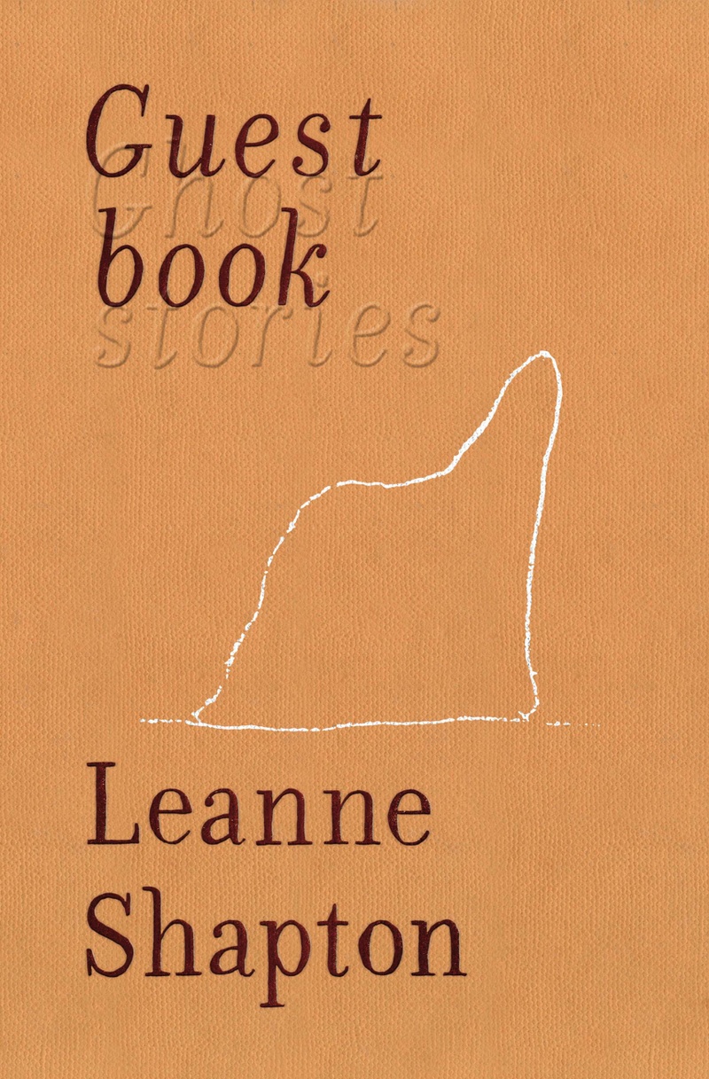 Leanne-Shapton-Guestbook-cover.jpg