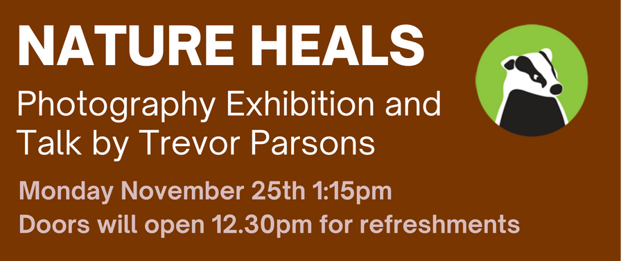 Nature Heals - Art Exhibition & Talk