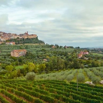 tourhub | G Adventures | Tuscany to Cinque Terre: Wines, Villages & Unforgettable Walks 