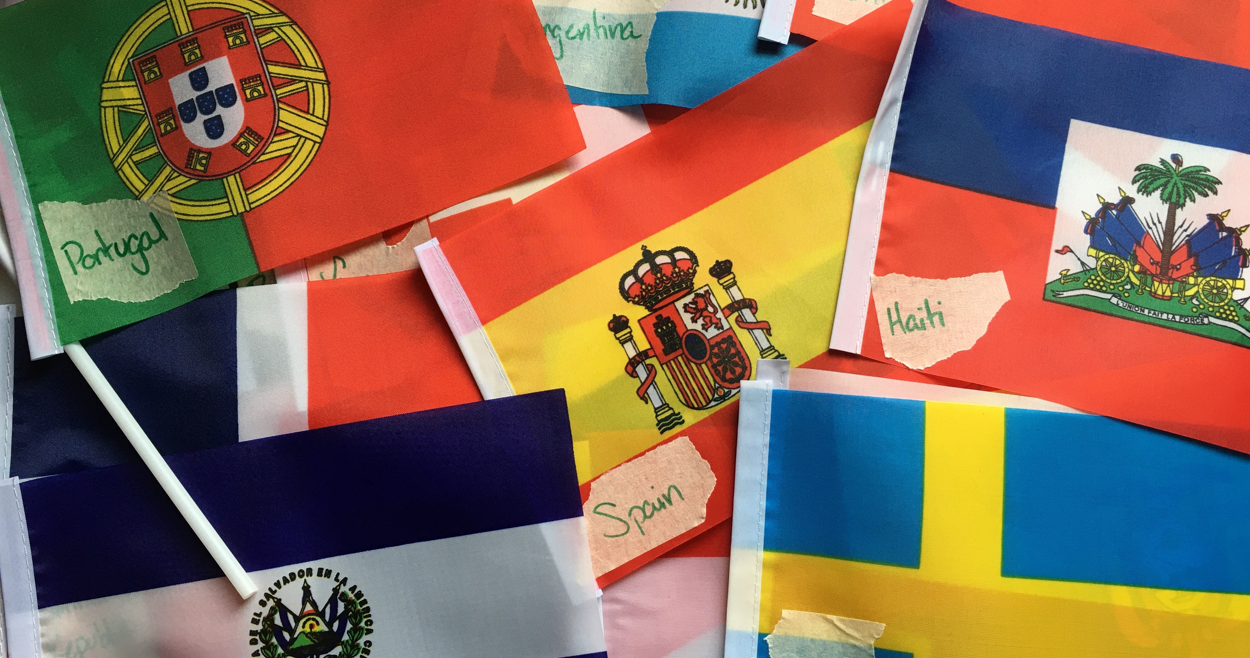 Flags of the World! Let's Learn All About World Flags