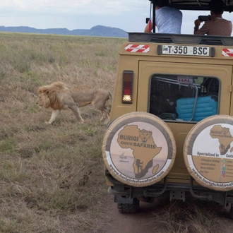 tourhub | Burigi Chato Safaris | 6 Days Serengeti Calving Season Migration Safari Tour. 