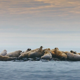 tourhub | Intrepid Travel | Spitsbergen Circumnavigation: A Rite of Passage 