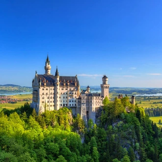 Fairy Tale Castles of Bavaria, the Rhine Valley & Black Forest
