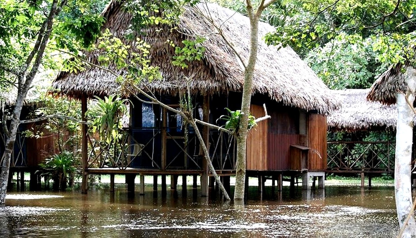 tourhub | Ecuador Galapagos Travels | 4-Day Amazon Eco-Adventure: Thrills In the Rainforest Of Iquitos 
