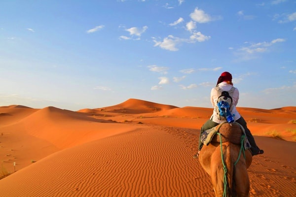 tourhub | Morocco Cultural Trips | 4 Days Tour From Fes To Marrakech Via Merzouga Desert 