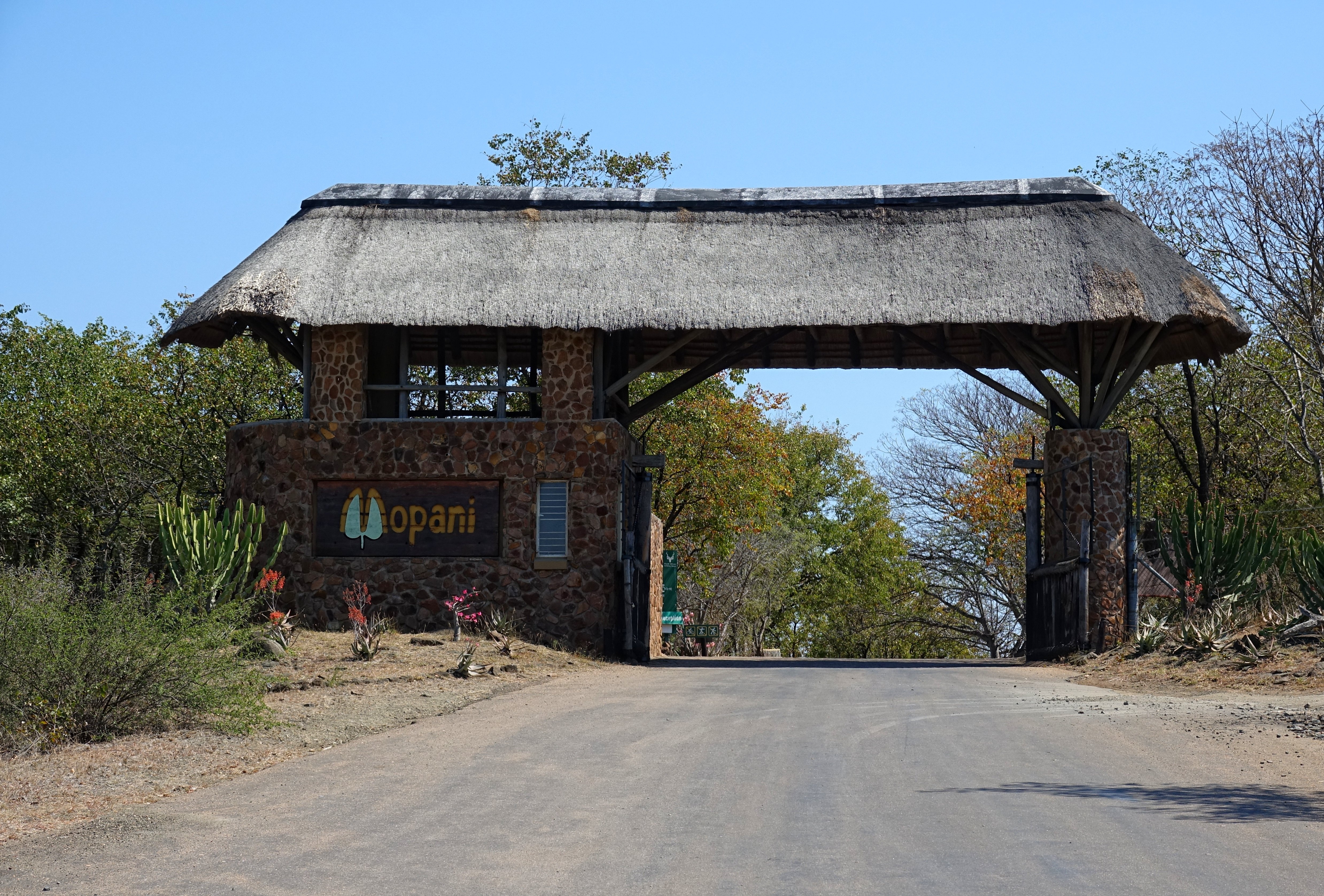 tourhub | Timeline Travel | Kruger National Park and Panorama Route 