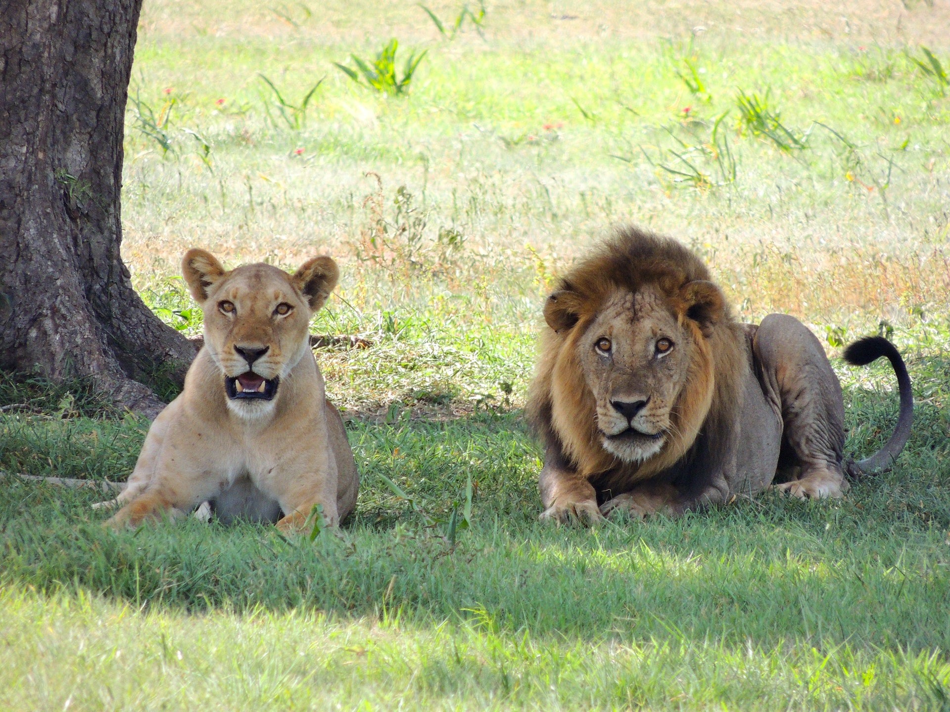 tourhub | Beach and Safari Holidays | Tanzania's Nature Ture Hidden Beauty 