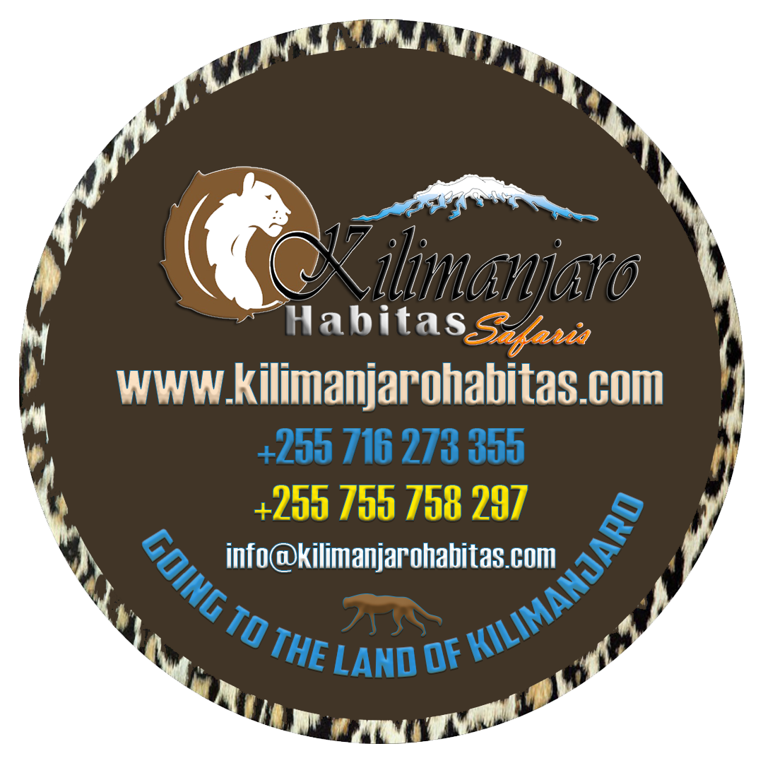 Kilimanjaro Habitas