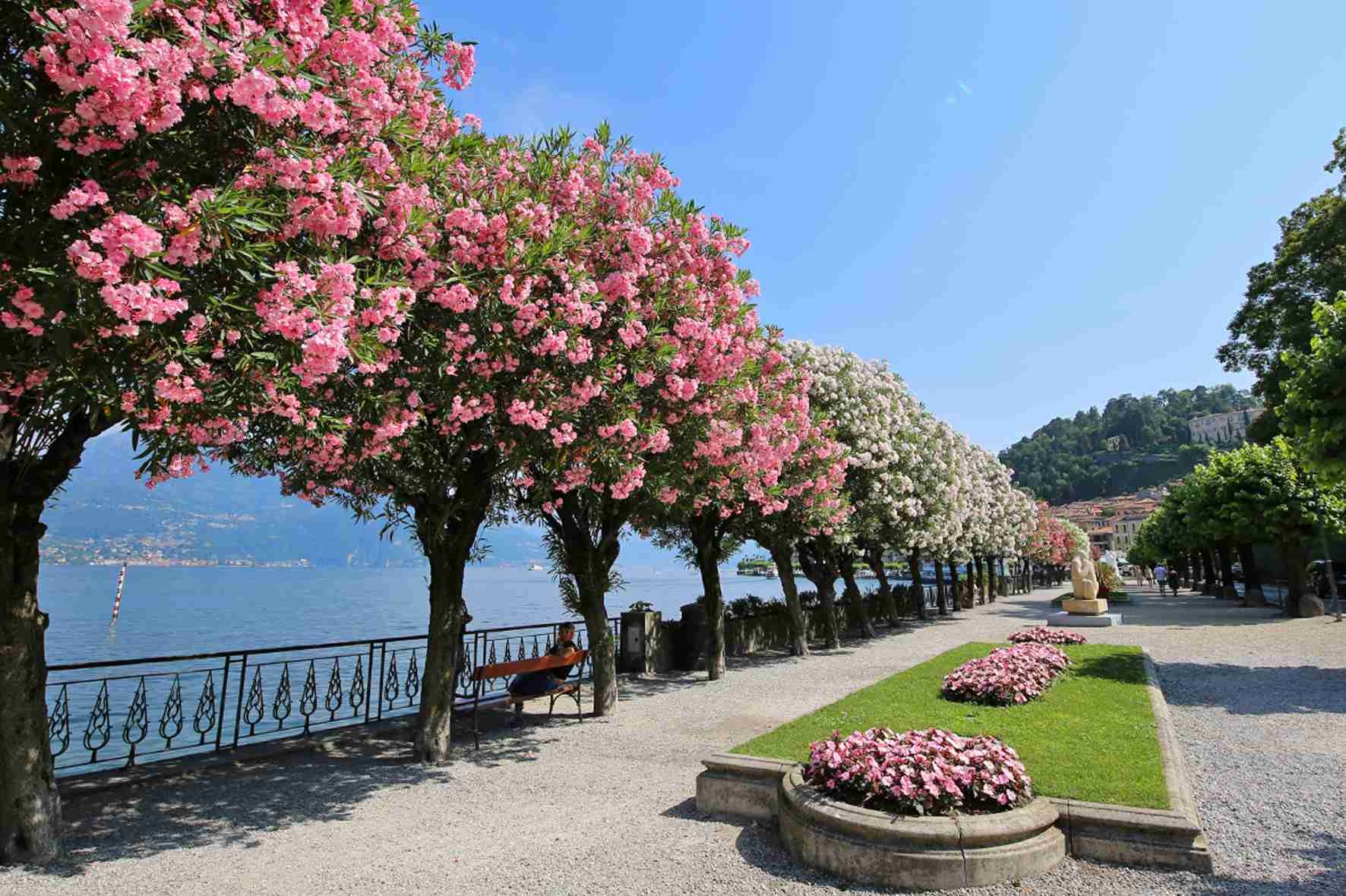 tourhub | The Natural Adventure | Walking at Lake Como 