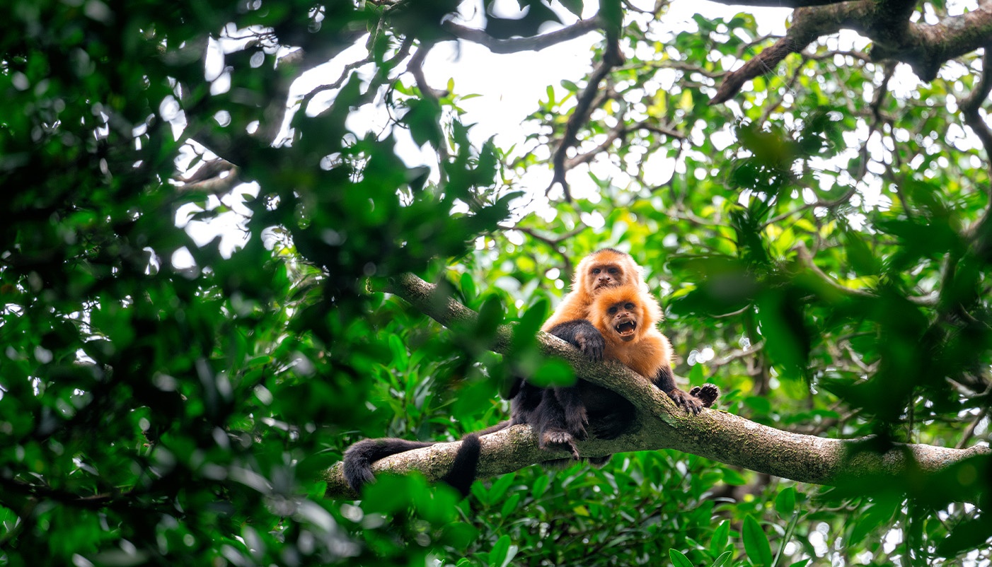 tourhub | Intro Travel | Costa Rica Adventure 