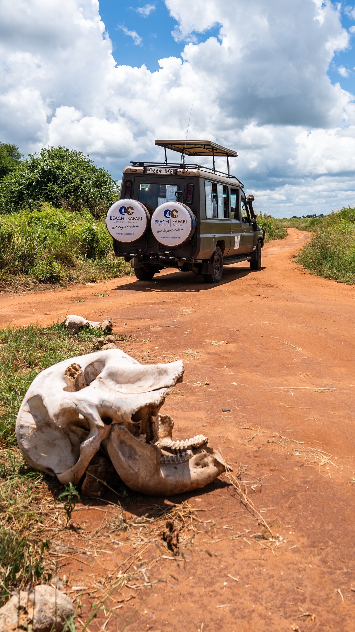 tourhub | Beach and Safari Holidays | Tanzanian Safari Spectacle 