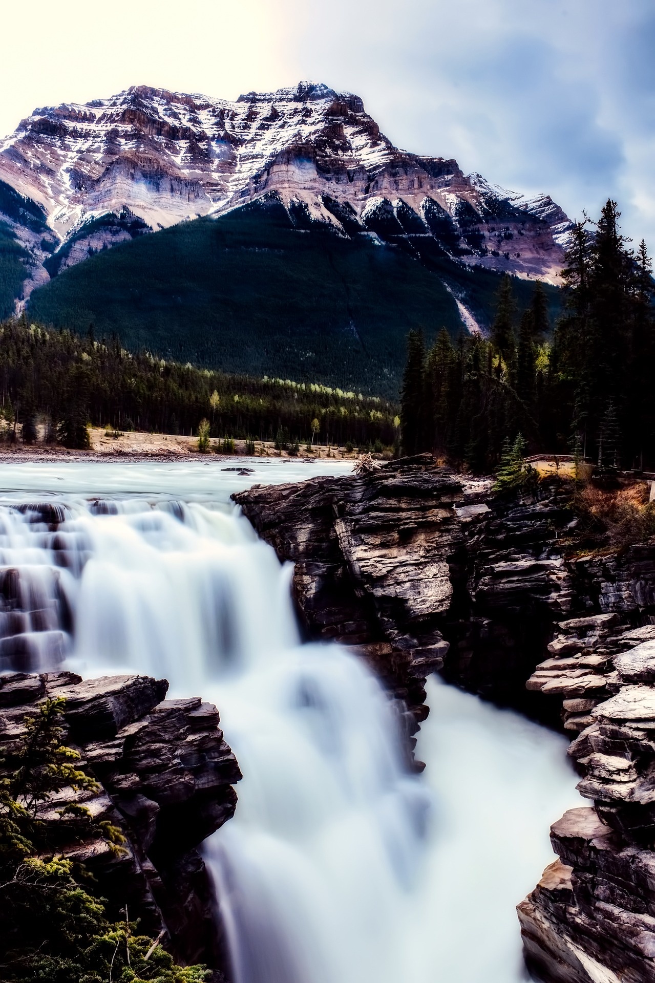 tourhub | Tours of Distinction | Canadian Rockies by Train 