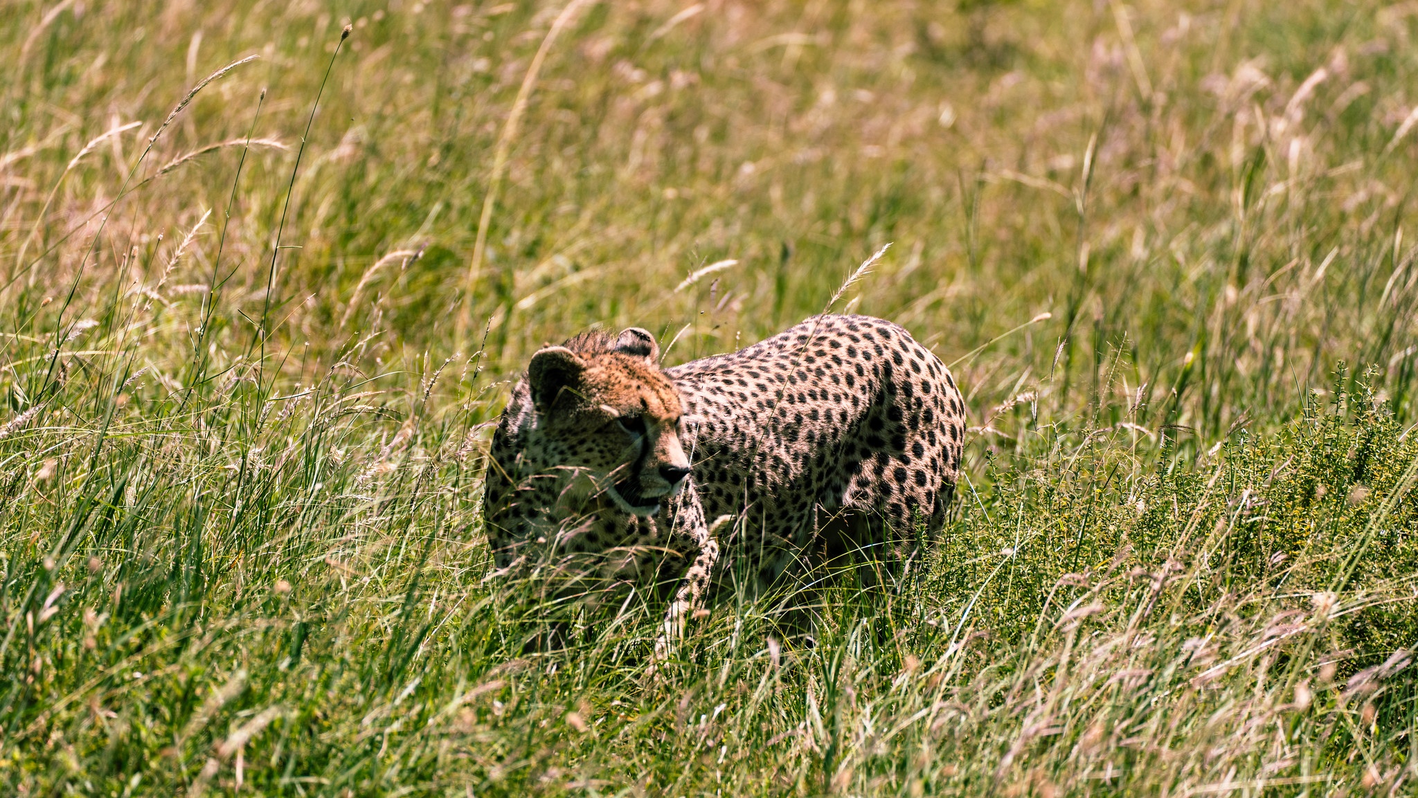 tourhub | Beach and Safari Holidays | Lake Hopping 