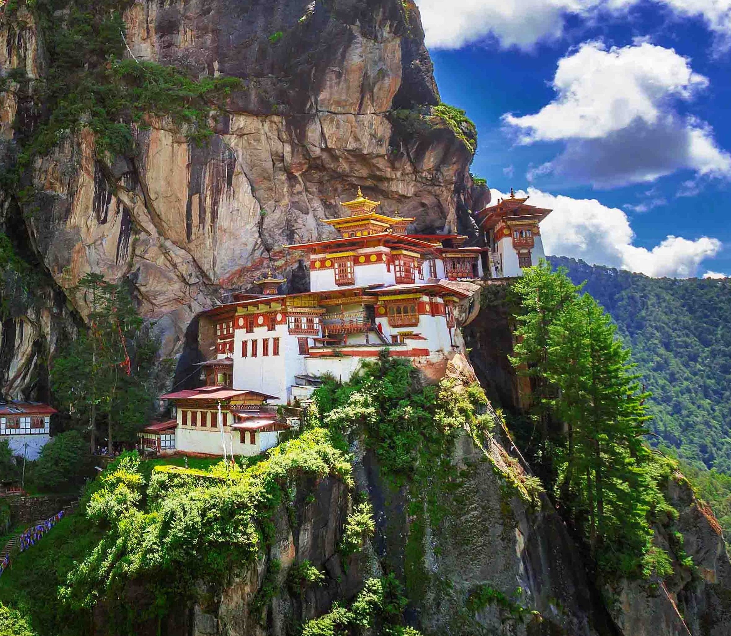 tourhub | World Tour Plan | Bhutan Nature Conscious Tour 