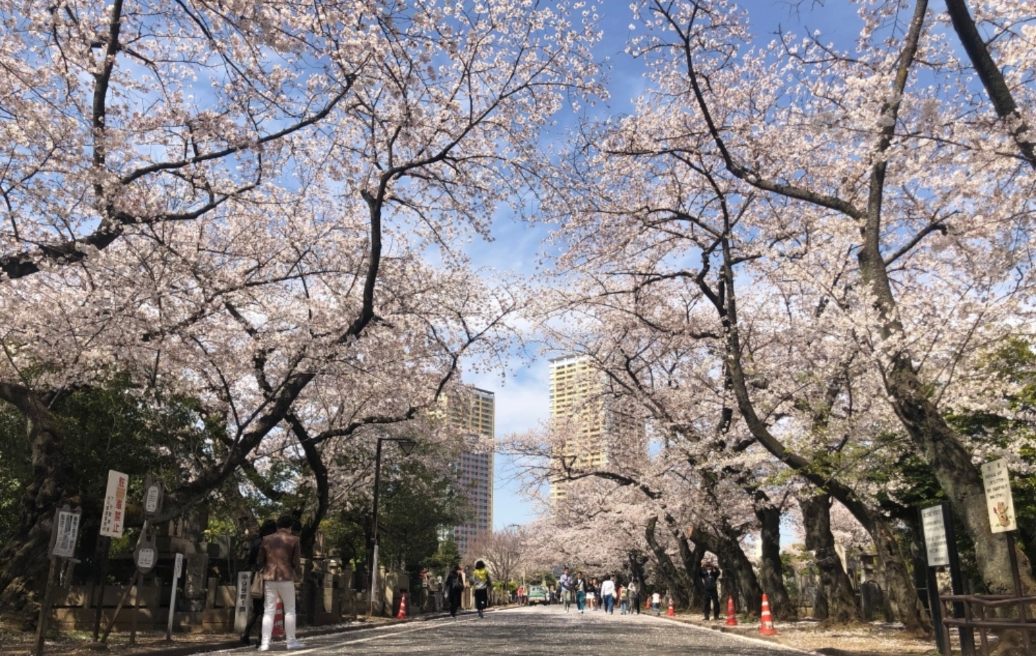 tourhub | Vio Travel | Highlights of Japan on a Budget - 8 Days 