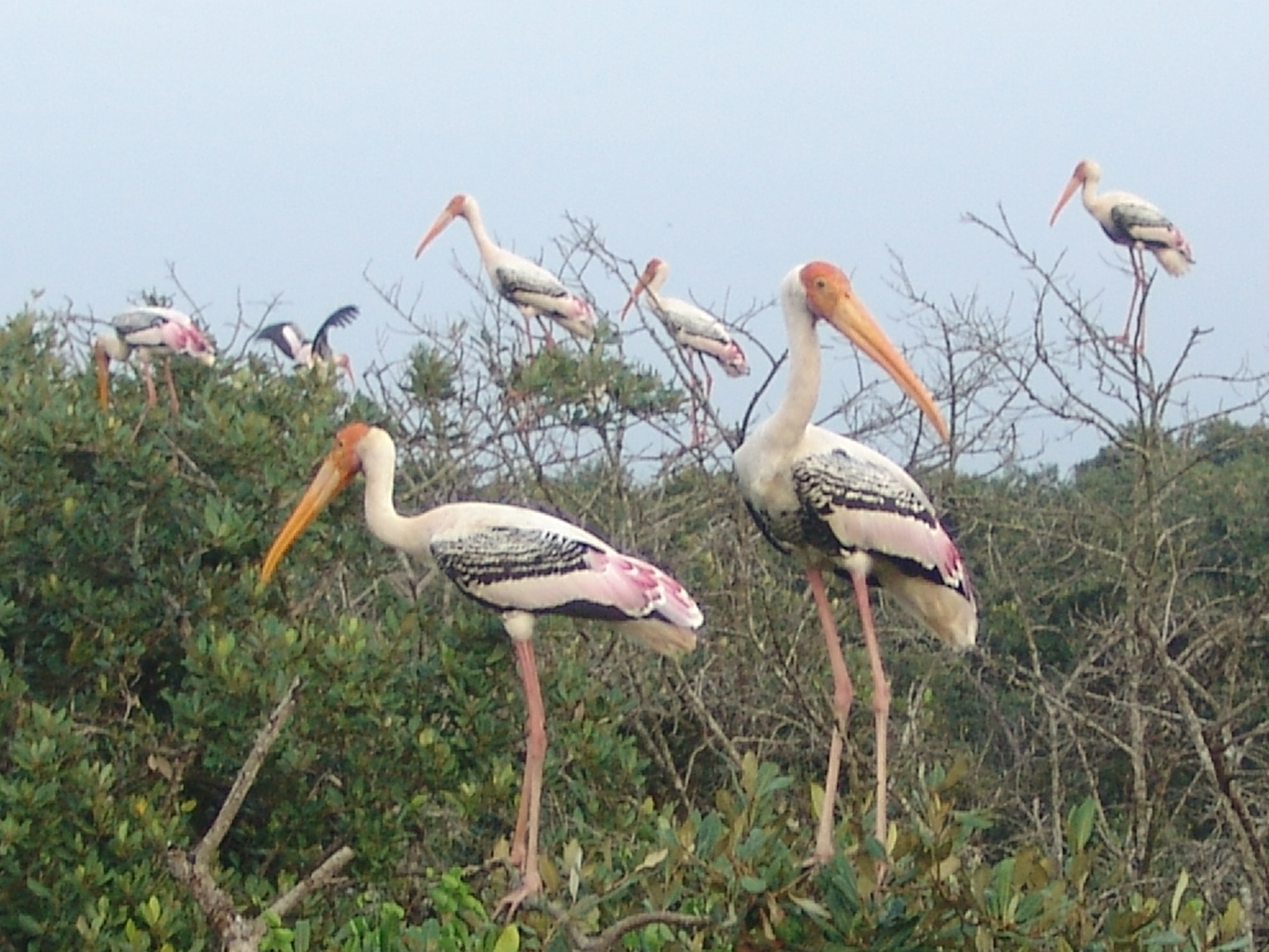 tourhub | Agora Voyages | Delhi to Agra & Bharatpur Bird Sanctuary Tour 