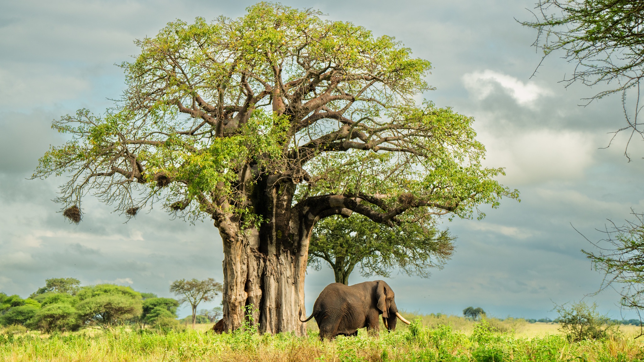 tourhub | Beach and Safari Holidays | Discover the Beauty of the Northern Circuit in Tanzania 