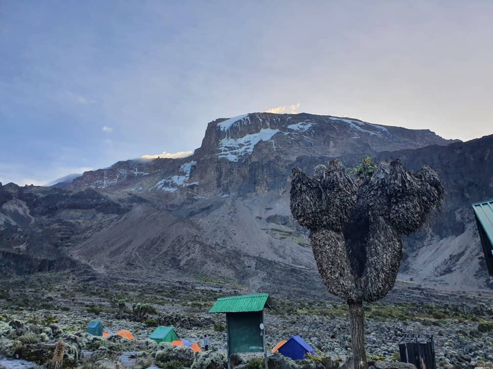 tourhub | Horizon Seeker Adventure | 11 days Kilimanjaro Climbing Northern Circuit route 