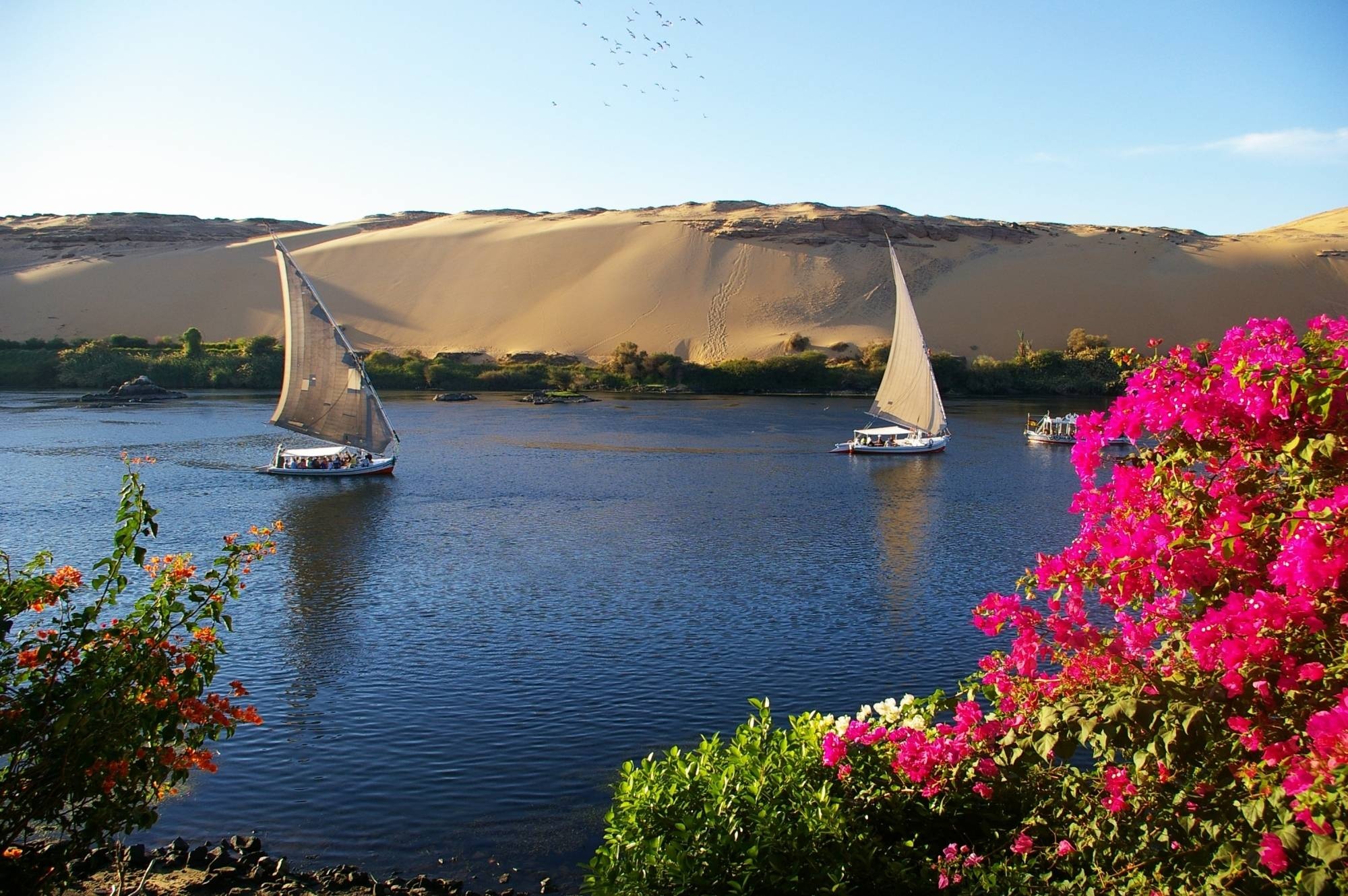 tourhub | Look at Egypt Tours | Best of Egypt Cairo & Nile Cruise & The Red Sea 