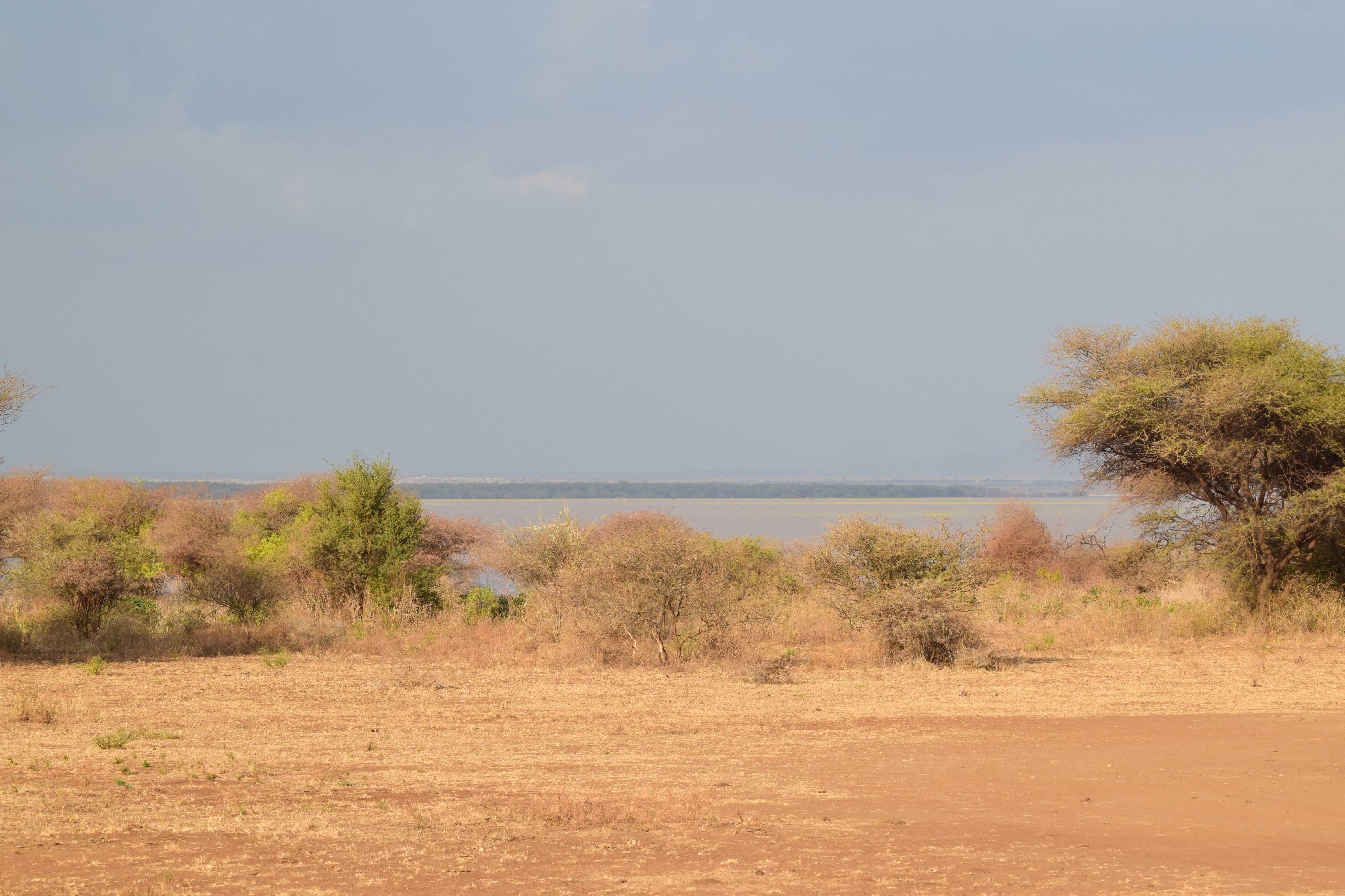 tourhub | Widerange African Safaris | Tanzania Serengeti Migration 6 Days 