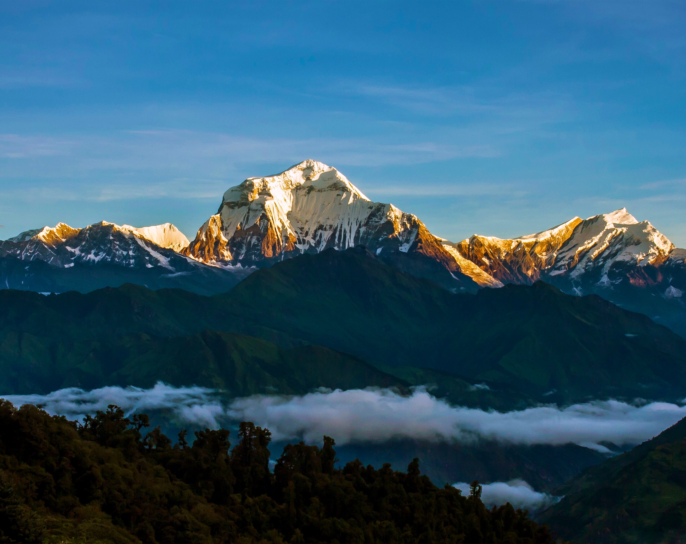 tourhub | Alpine Club of Himalaya | Ghorepani Poon Hill Trek - 5 Days 