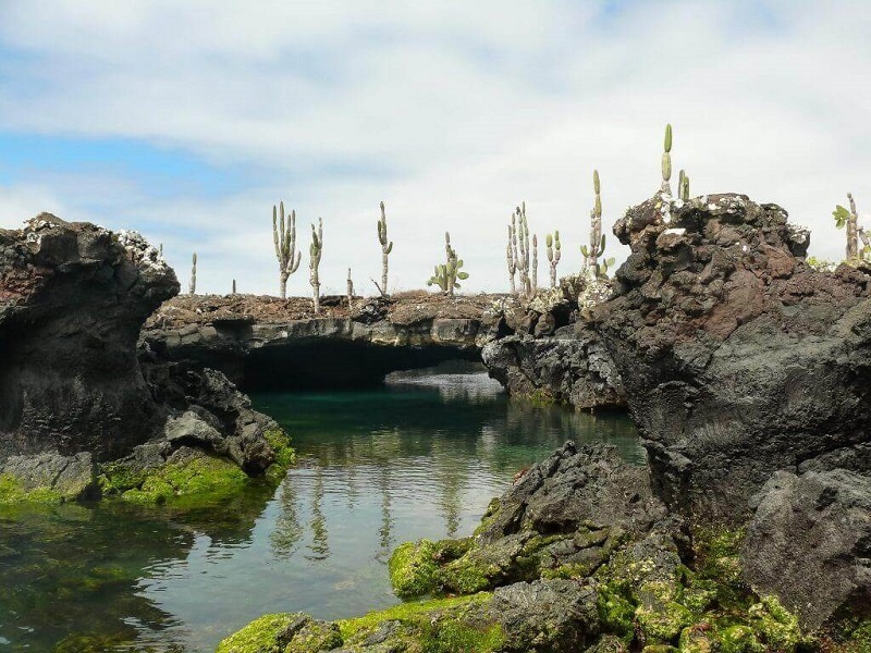 tourhub | Latin Adventures | 5-Day Galapagos Island Hopping - Santa Cruz & Isabela 