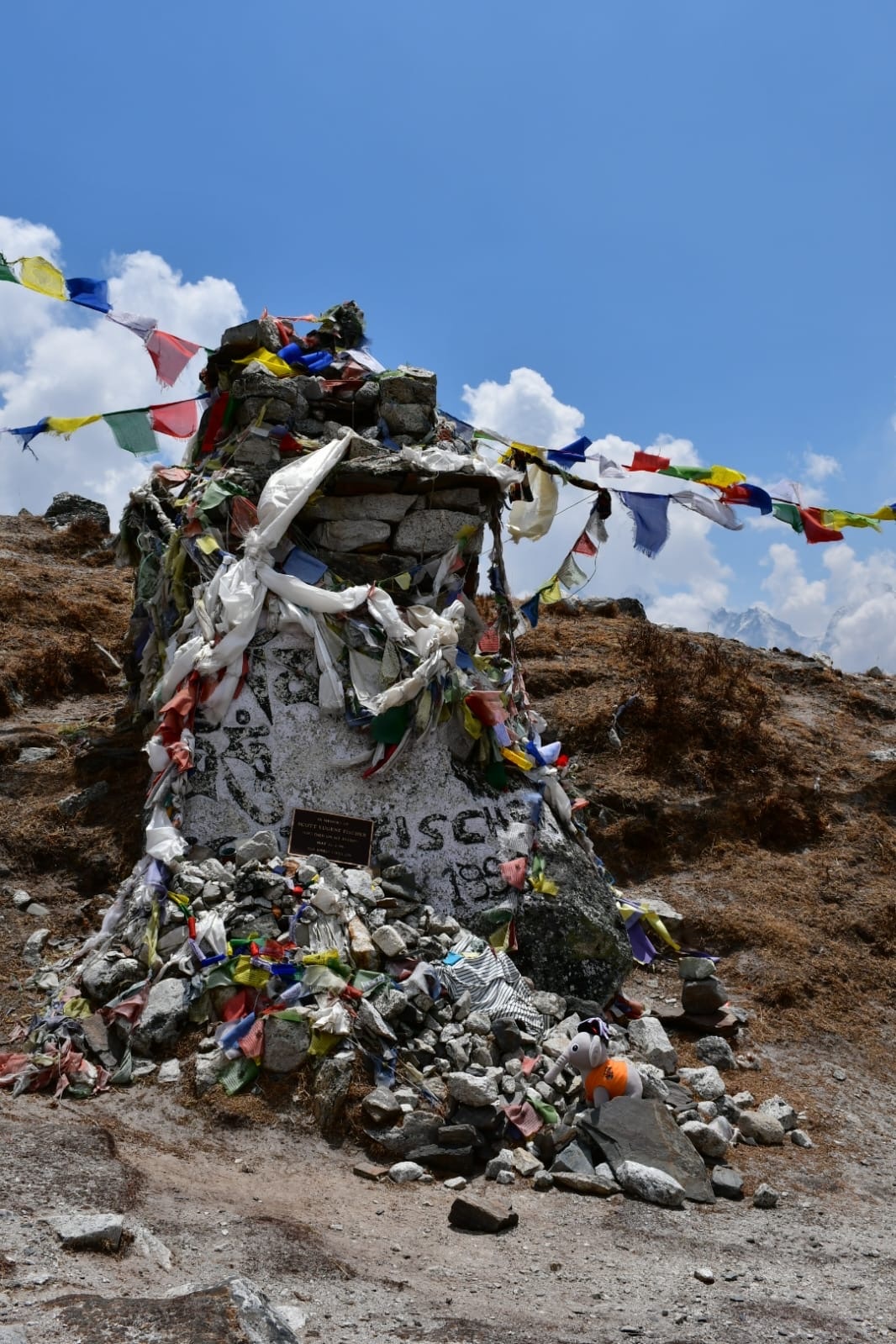 tourhub | Nepal Lion Tours and Treks | 10D 9N Everest Base Camp Trek with Heli Return 