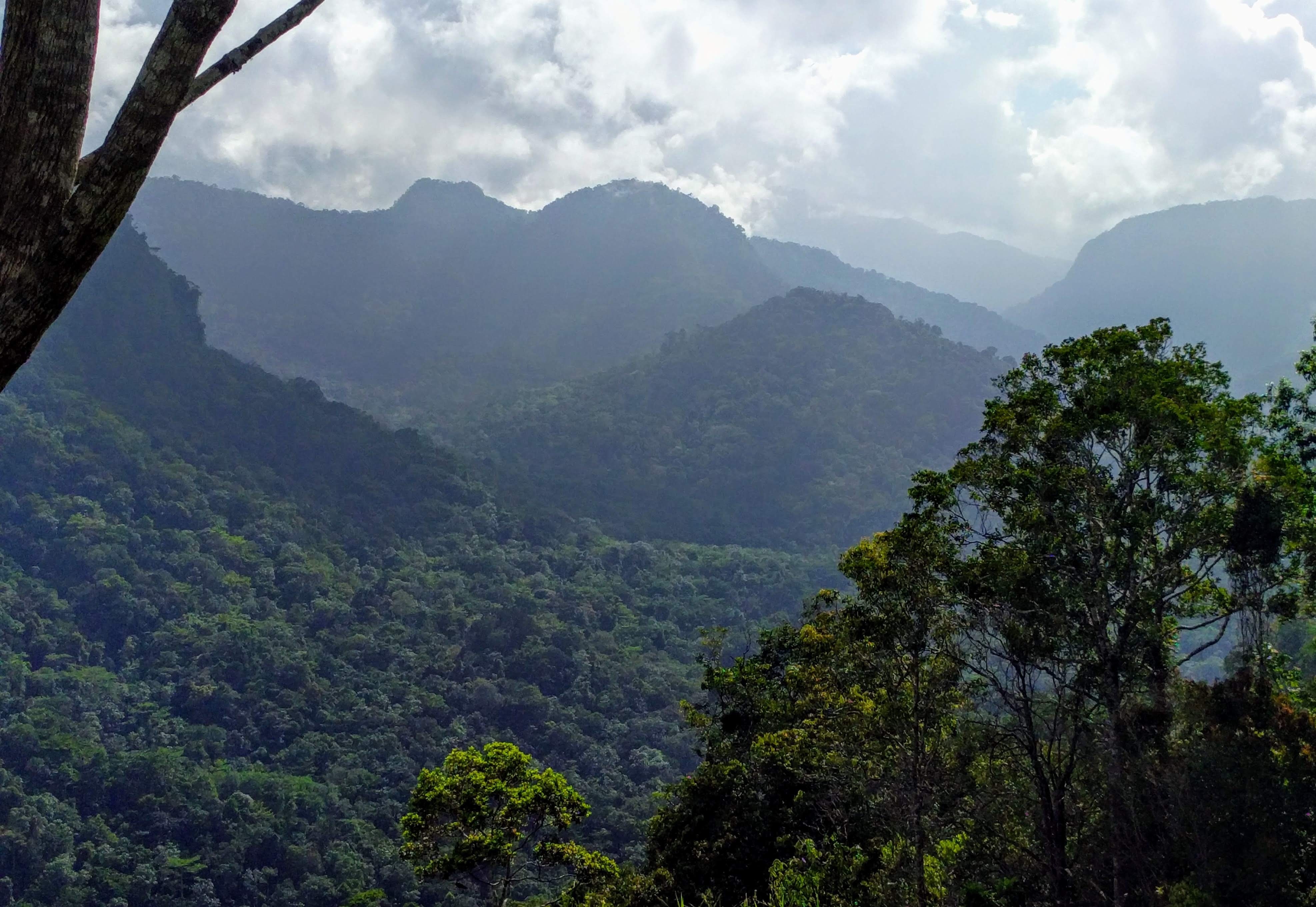 Ridges of Kokoda