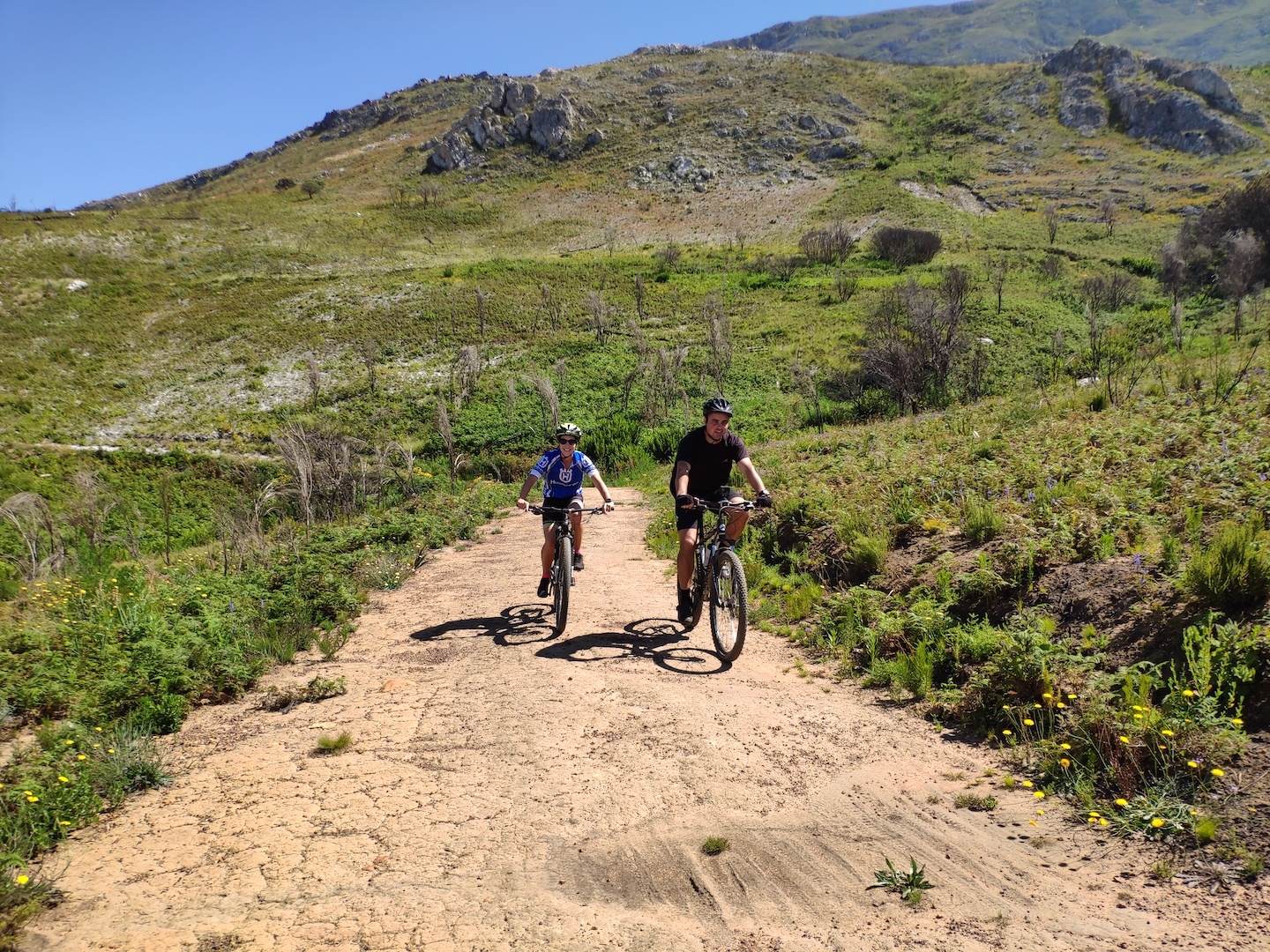 tourhub | Cape Adventure Brands | 2 Day Elgin Valley Mountain Bike Tour 