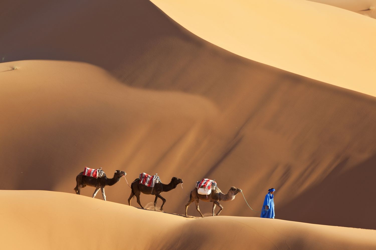 tourhub | Morocco Cultural Trips | 4 Days Tour From Fes To Marrakech Via Merzouga Desert 