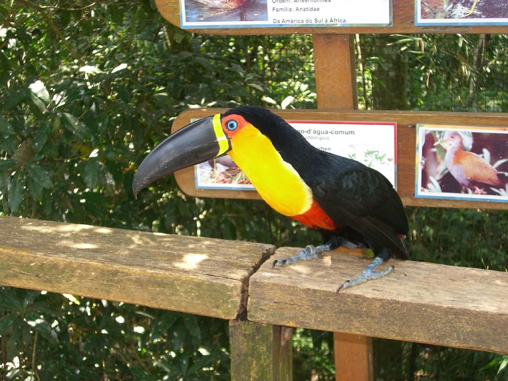 tourhub | Private Tours | Iguazu Falls Discovering Their Incredible Waterfalls 03 Days & 02 Nights 