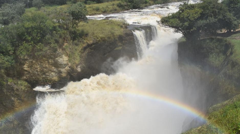 tourhub | Ecovic Tours and Travel Uganda | 03 - Days Wildlife of Murchison Falls Safari 