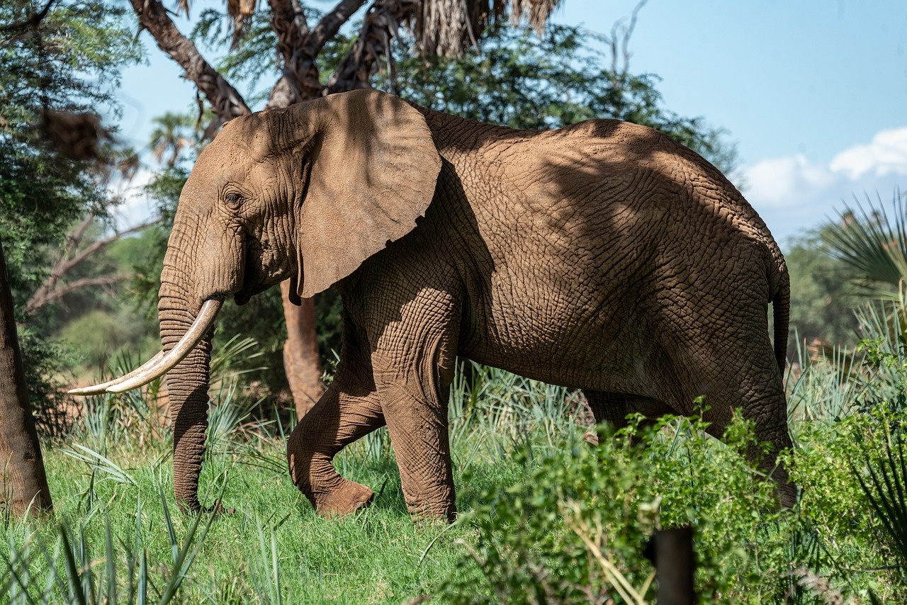 tourhub | Widerange African Safaris | Best 3 days Sharing safari package in Tanzania 